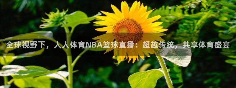 全球视野下，人人体育NBA篮球直播：超越传统，共享体育盛宴