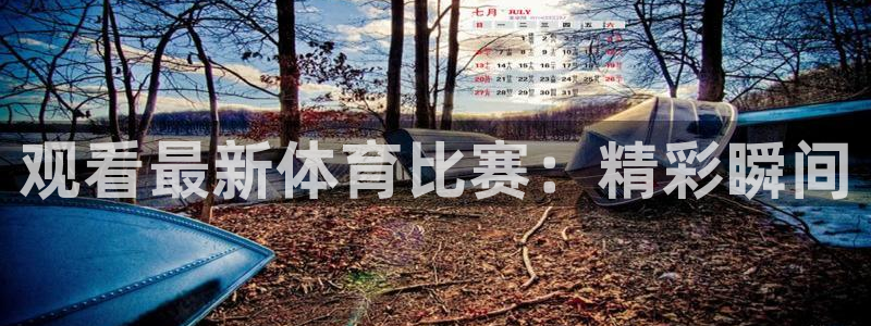 观看最新体育比赛：精彩瞬间