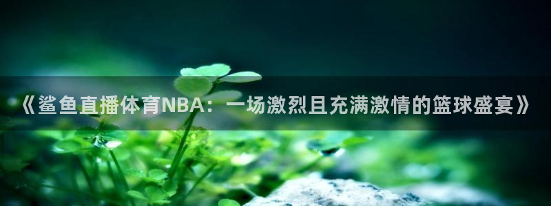 《鲨鱼直播体育NBA：一场激烈且充满激情的篮球盛宴》